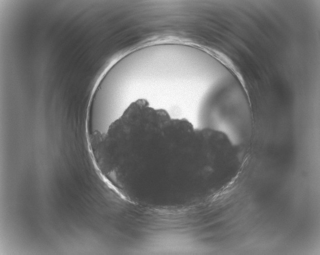 X0000051880863200507221948