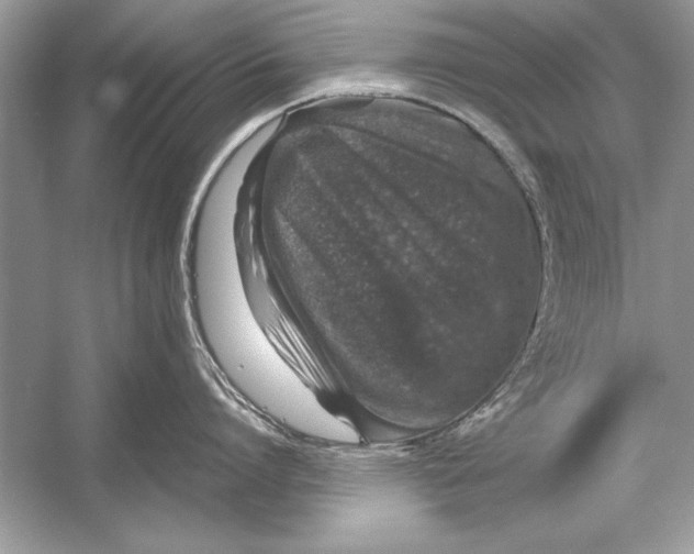 X0000051880864200507221948