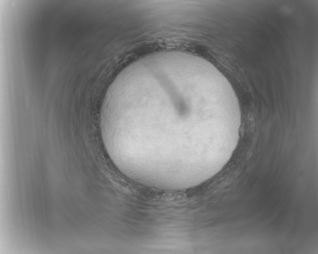 X0000051880865200507221947