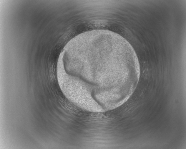 X0000051880866200507221947