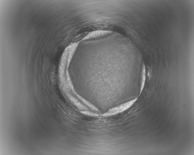 X0000051880867200507221947