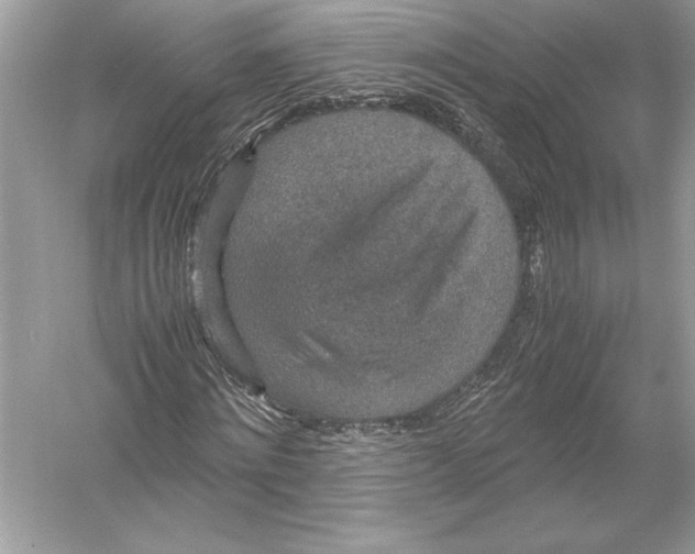 X0000051880868200507221947