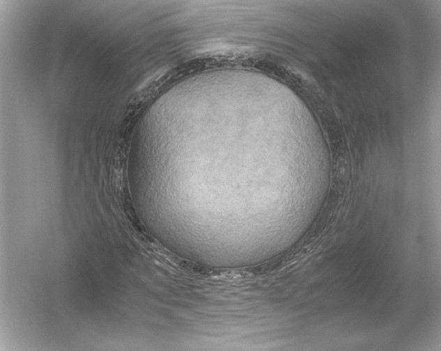 X0000051880869200507221947