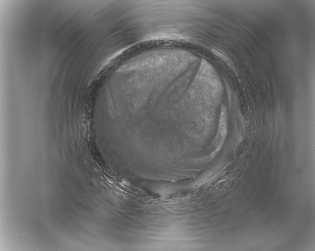 X0000051880872200507221947