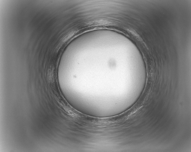 X0000051880873200507221947