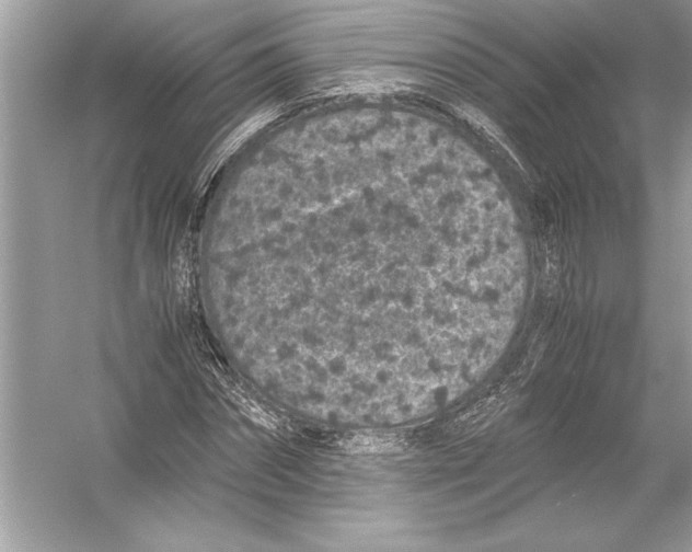 X0000051880874200507221947