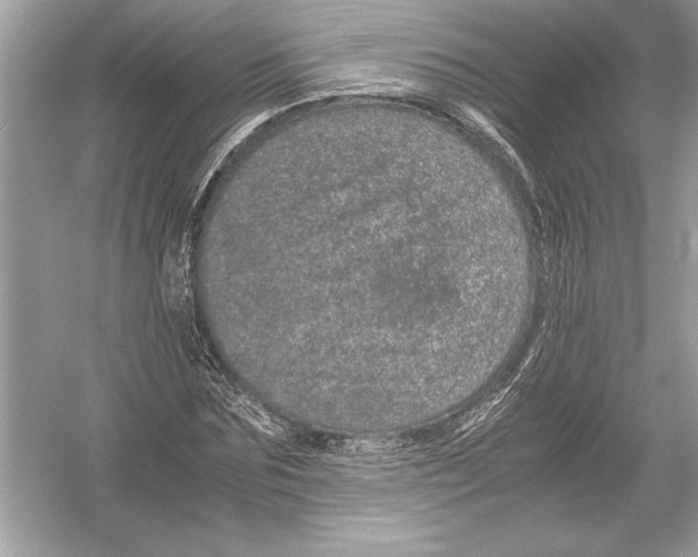 X0000051880875200507221947