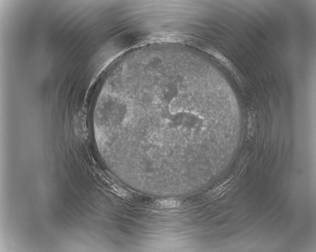 X0000051880878200507221947