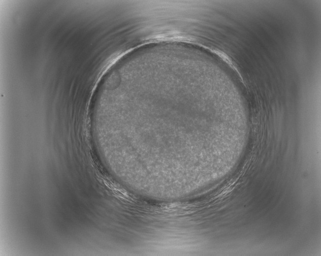 X0000051880879200507221947