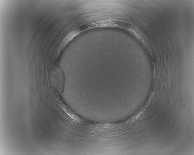 X0000051880881200507221947