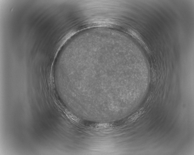 X0000051880883200507221947