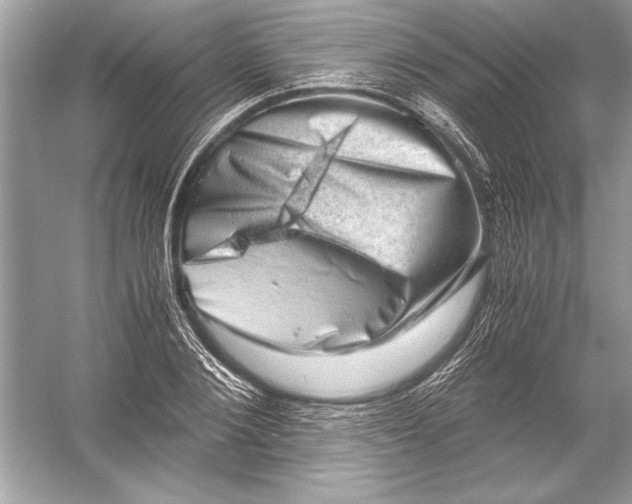 X0000051880884200507221947