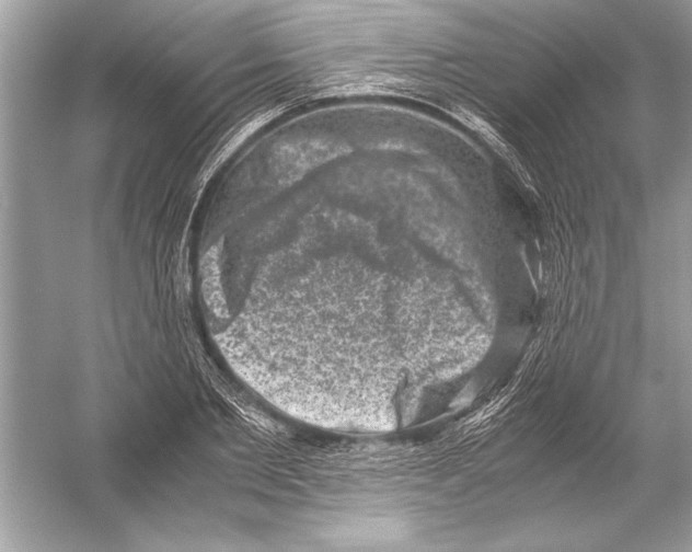 X0000051880885200507221947