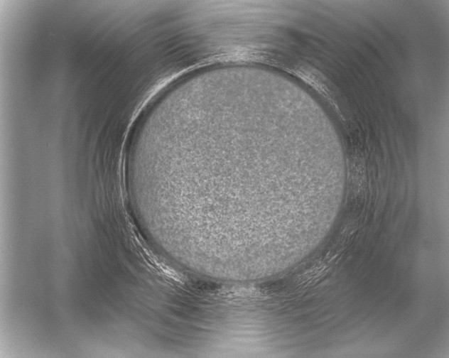 X0000051880886200507221947