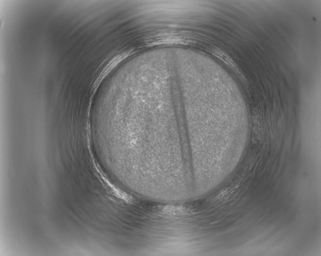 X0000051880890200507221946