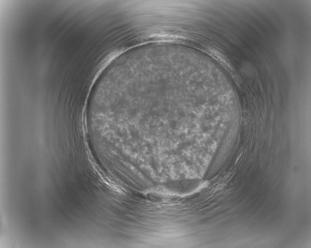 X0000051880891200507221946