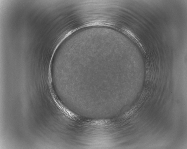 X0000051880892200507221946