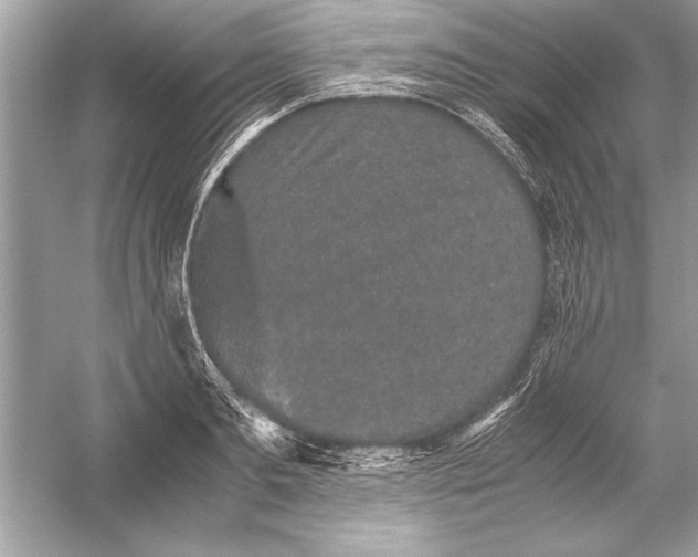 X0000051880893200507221946