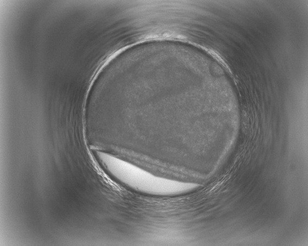 X0000051880895200507221946