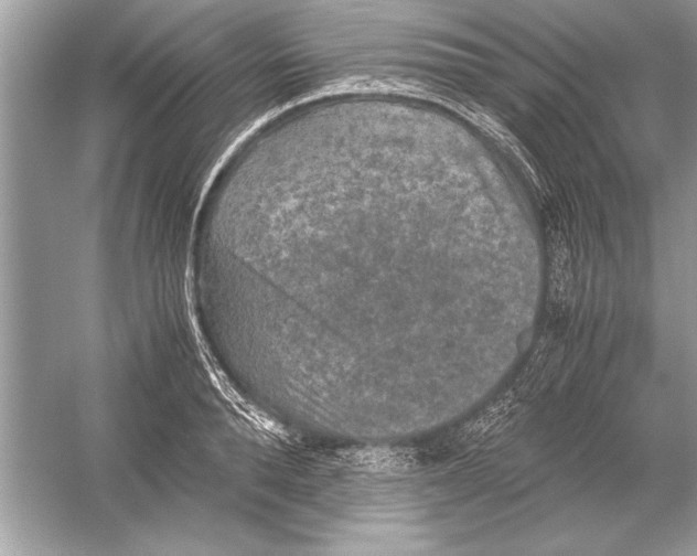 X0000051880896200507221946