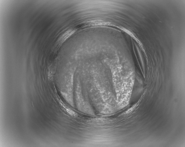 X0000051880897200507221946