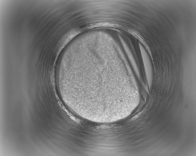 X0000051880898200507221946