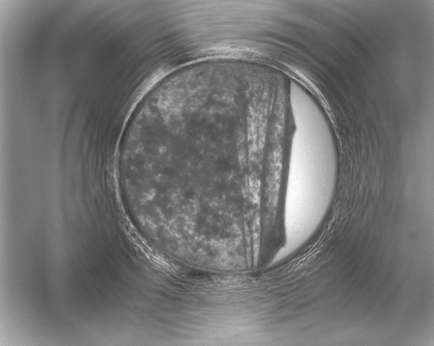 X0000051880899200507221946