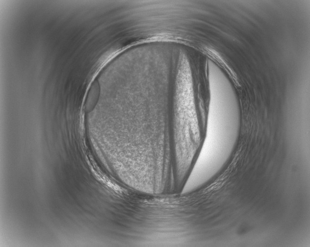 X0000051880900200507221946