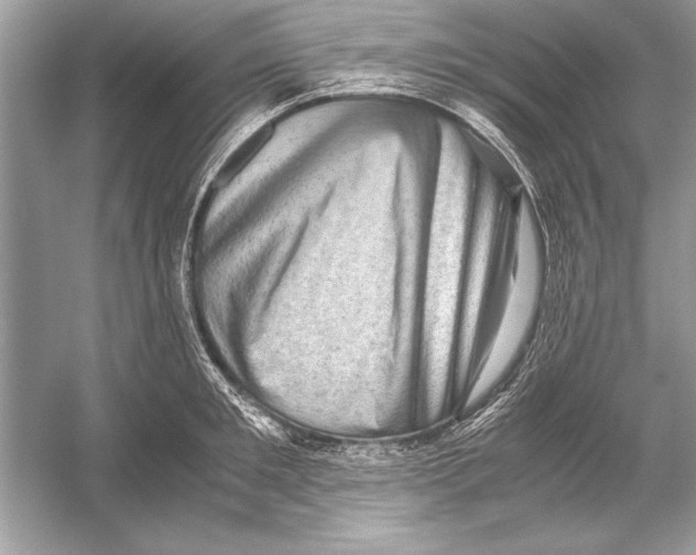 X0000051880901200507221946