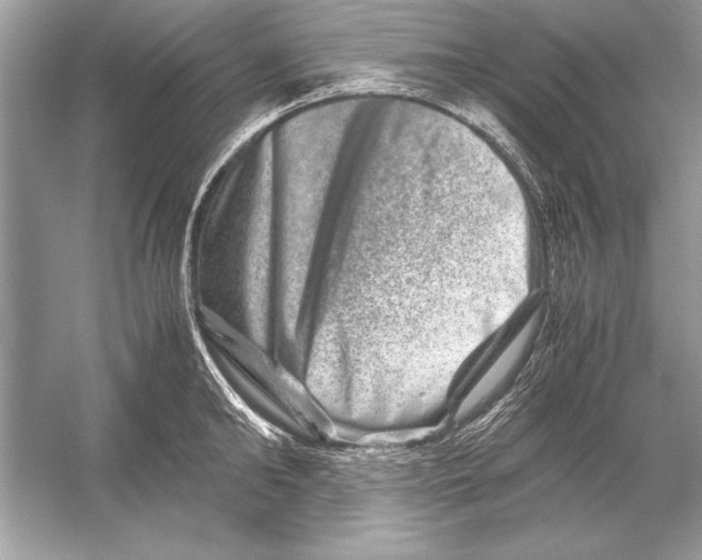 X0000051880902200507221946