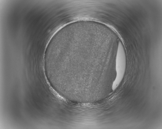 X0000051880903200507221946