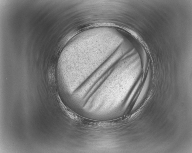 X0000051880905200507221946