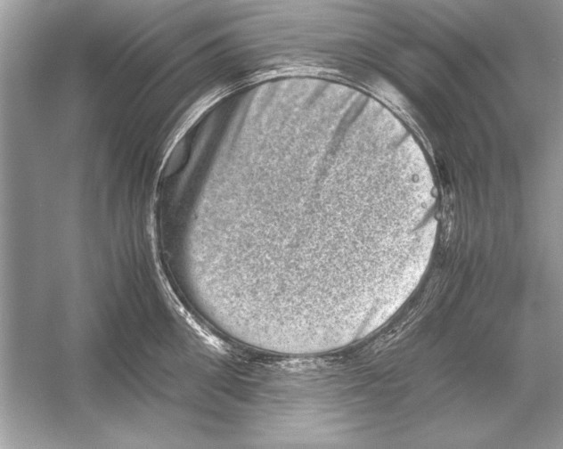 X0000051880906200507221946