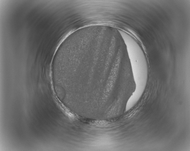 X0000051880907200507221946