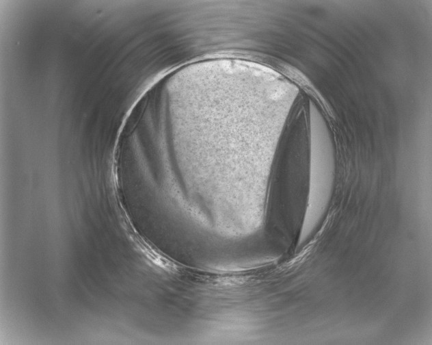 X0000051880908200507221946