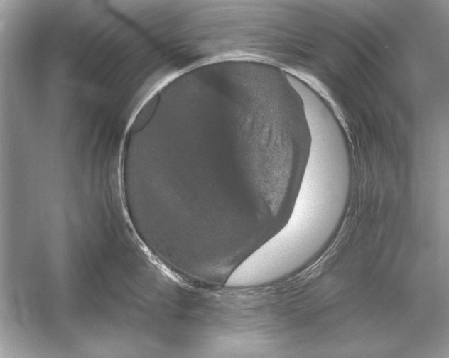 X0000051880910200507221946