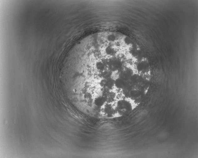 X0000051880913200507221945