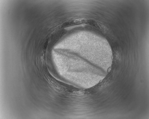 X0000051880914200507221945