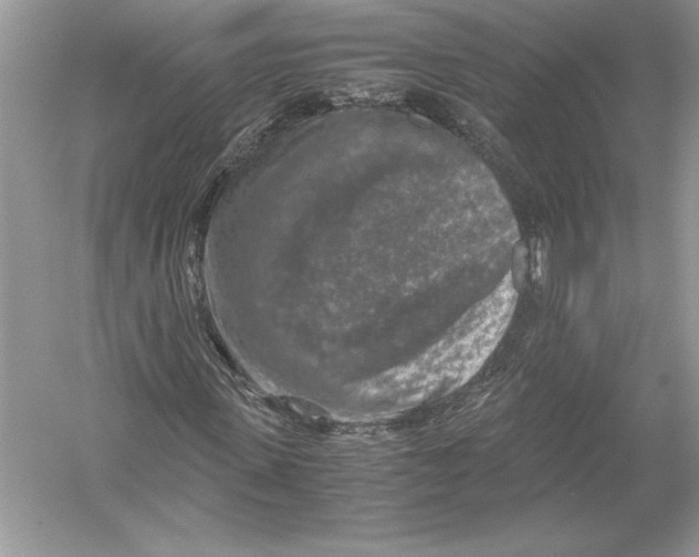 X0000051880915200507221945