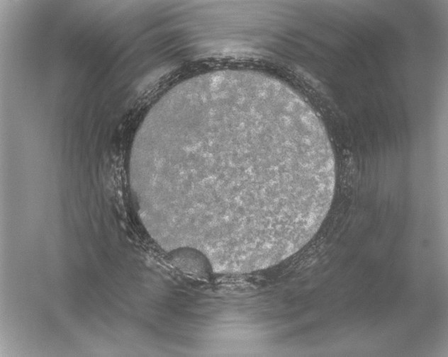 X0000051880918200507221945