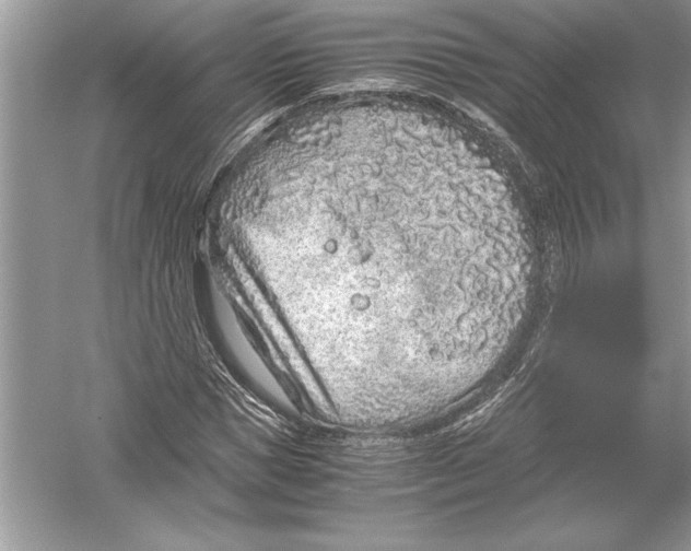 X0000051880921200507221945