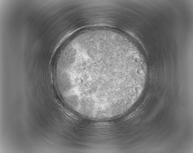 X0000051880925200507221945