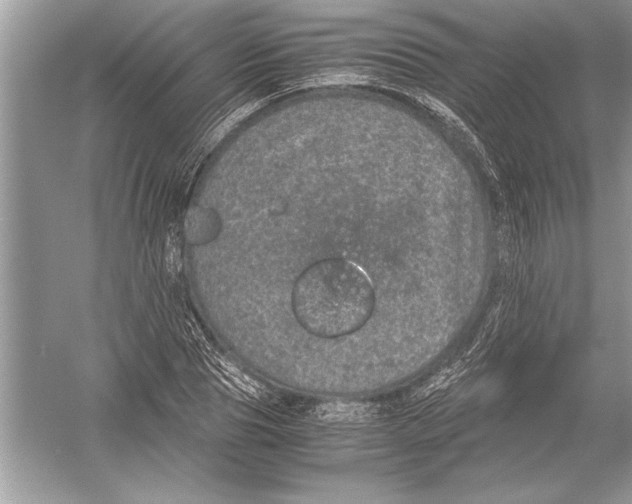 X0000051880929200507221946