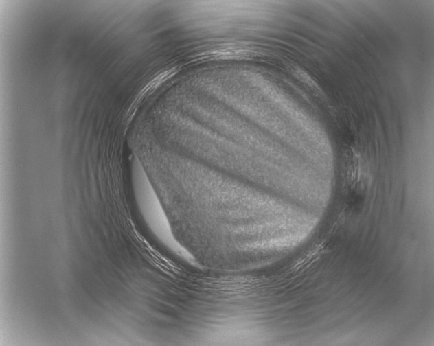 X0000051880930200507221946