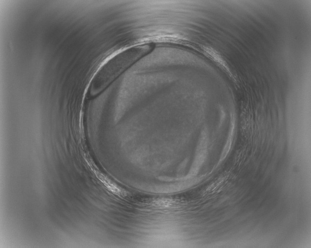 X0000051880932200507221946