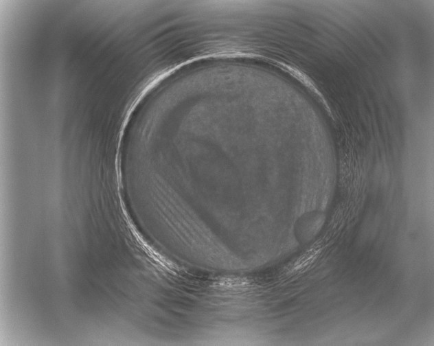 X0000051880935200507221946