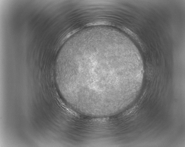 X0000051880937200507221946