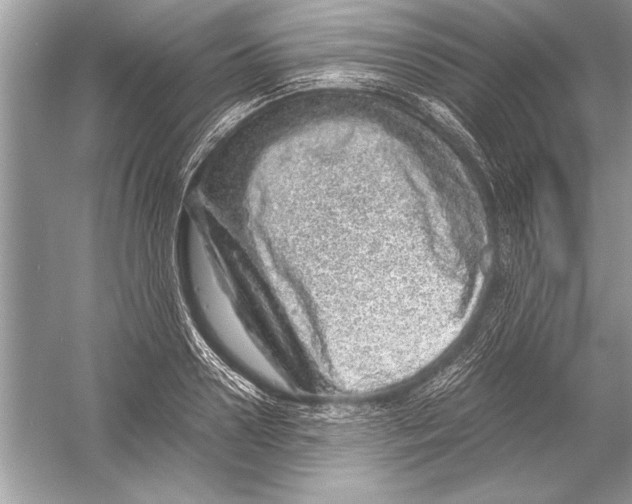 X0000051880938200507221946