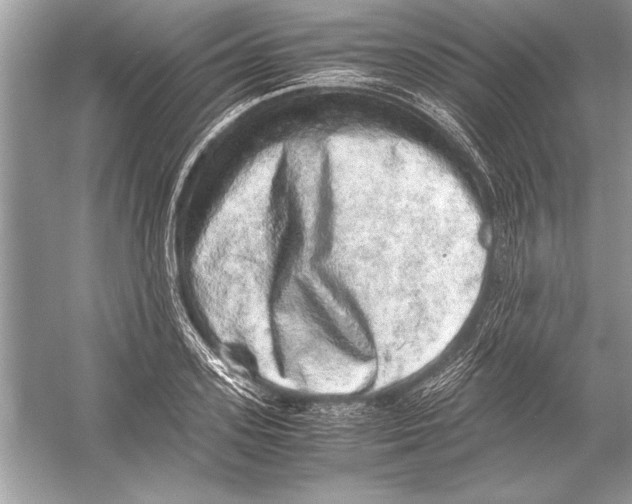 X0000051880939200507221946