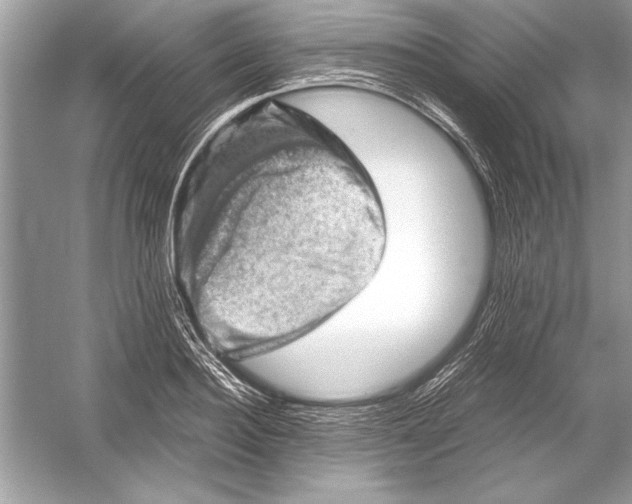 X0000051880940200507221946